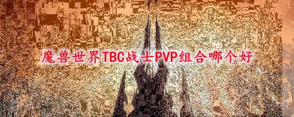 魔兽世界TBC战士PVP组合哪个好