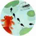 墨虾探蝌海藻模式