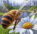 蜜蜂模拟器手机版