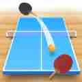 乒乓球3d虚拟世界安卓版