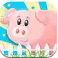 趣味金猪app