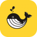 口袋鲸选app