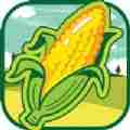 丰收的玉米游戏