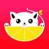 柠檬猫APP安卓版下载 v0.0.1