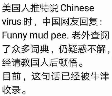 抖音funny mud pee是什么梗？funny mud pee含义和来源介绍[视频][多图]图片2