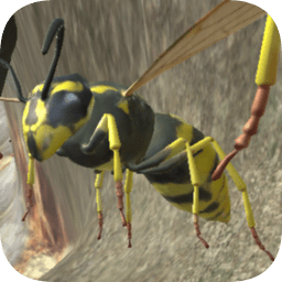 黄蜂巢模拟器3d汉化版