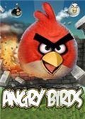 愤怒的小鸟：2012季节版 中文版