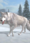 北极狼模拟 电脑版