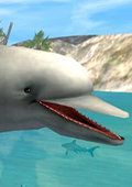 深海海豚 电脑版