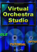 Virtual Orchestra Studio 英文版
