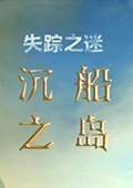失踪之谜2：沉船之岛 中文版